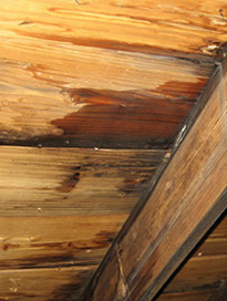 Contractor for a Roof Leak Repair